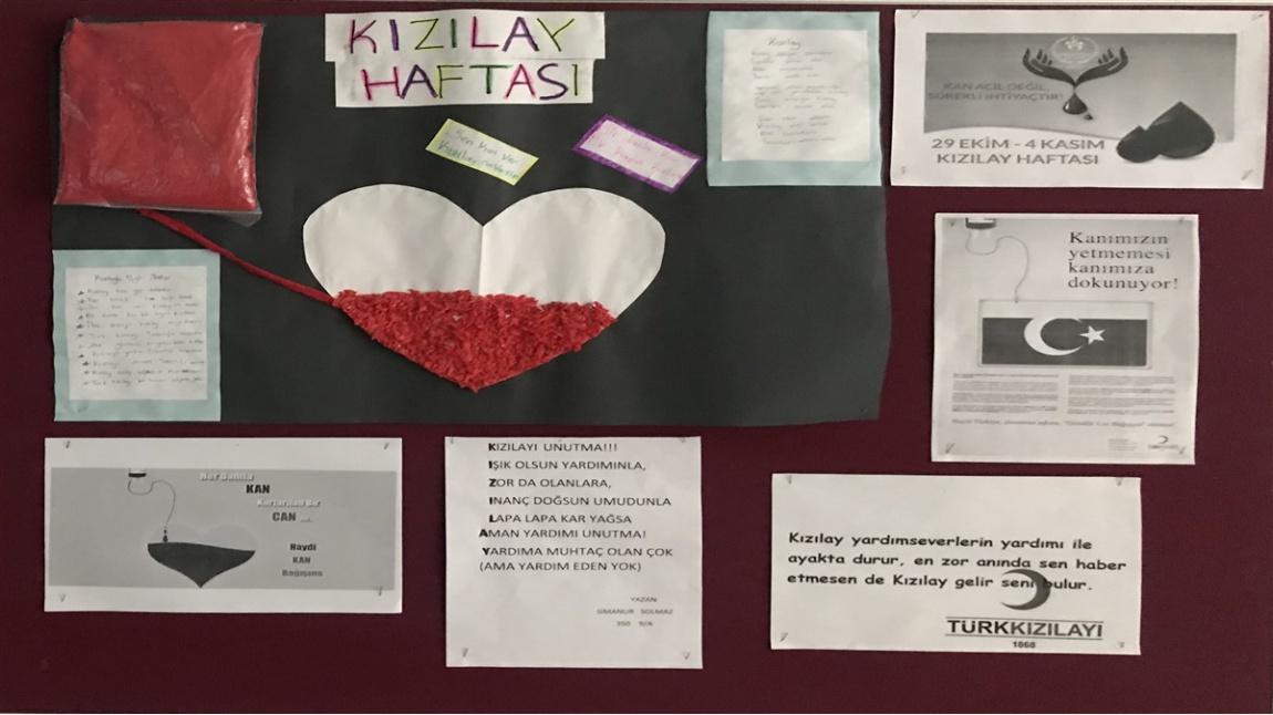 milli irade kiz anadolu imam hatip lisesi